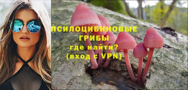 spice Аркадак