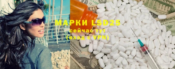 spice Аркадак