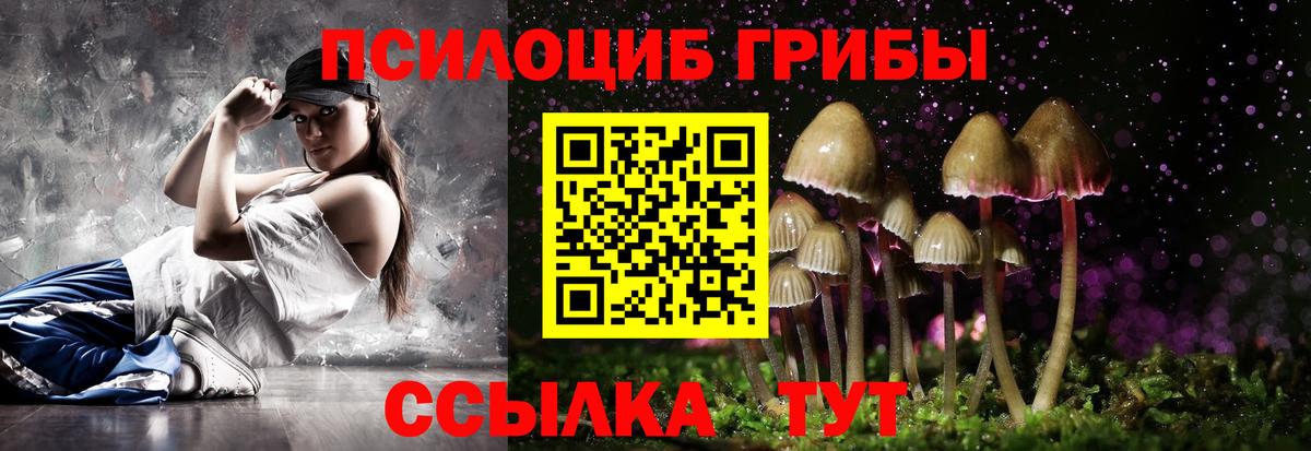 Новомосковск  Псилоцибиновые грибы MAGIC MUSHROOMS  Вход с VPN 