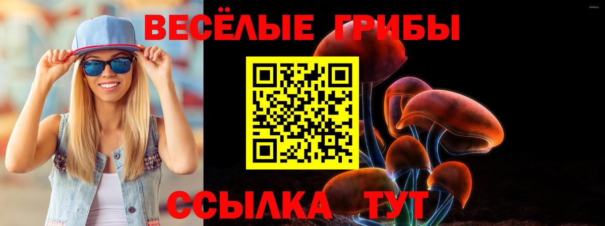 Галлюциногенные грибы ЛСД Новомосковск