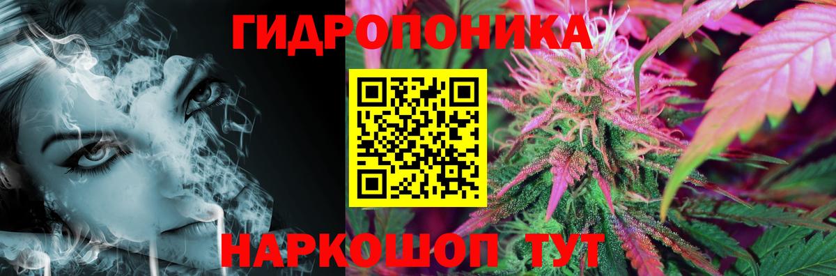 Конопля Bruce Banner Новомосковск